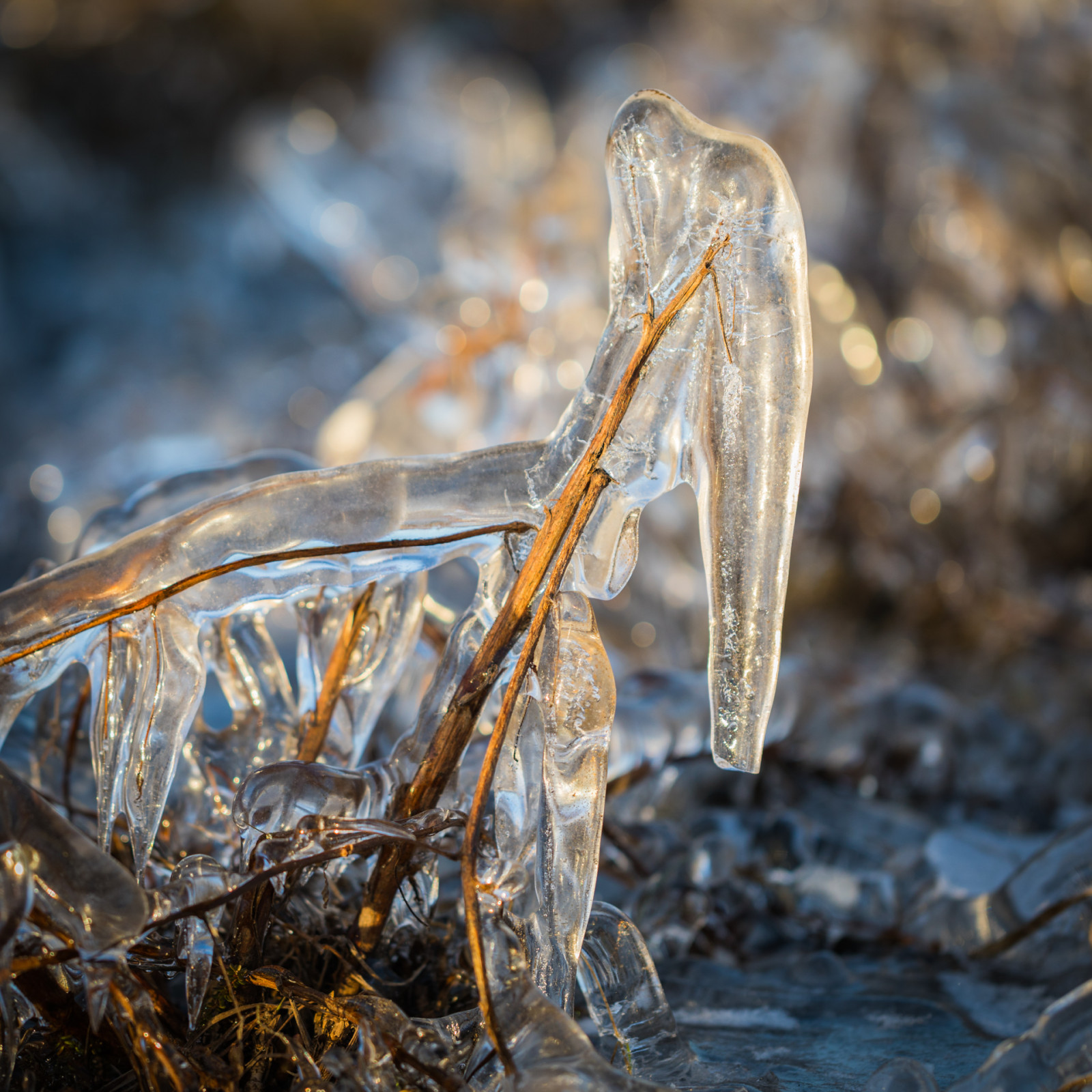 © Jon Bjarnason_ice-1057.jpg