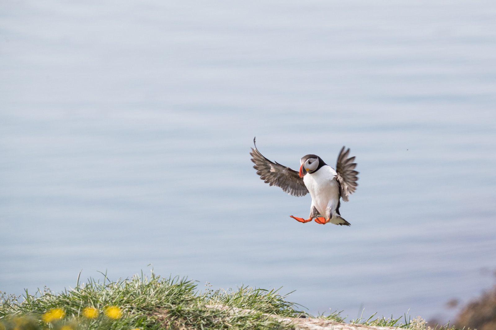 © Jon Bjarnason_flug-1356.jpg