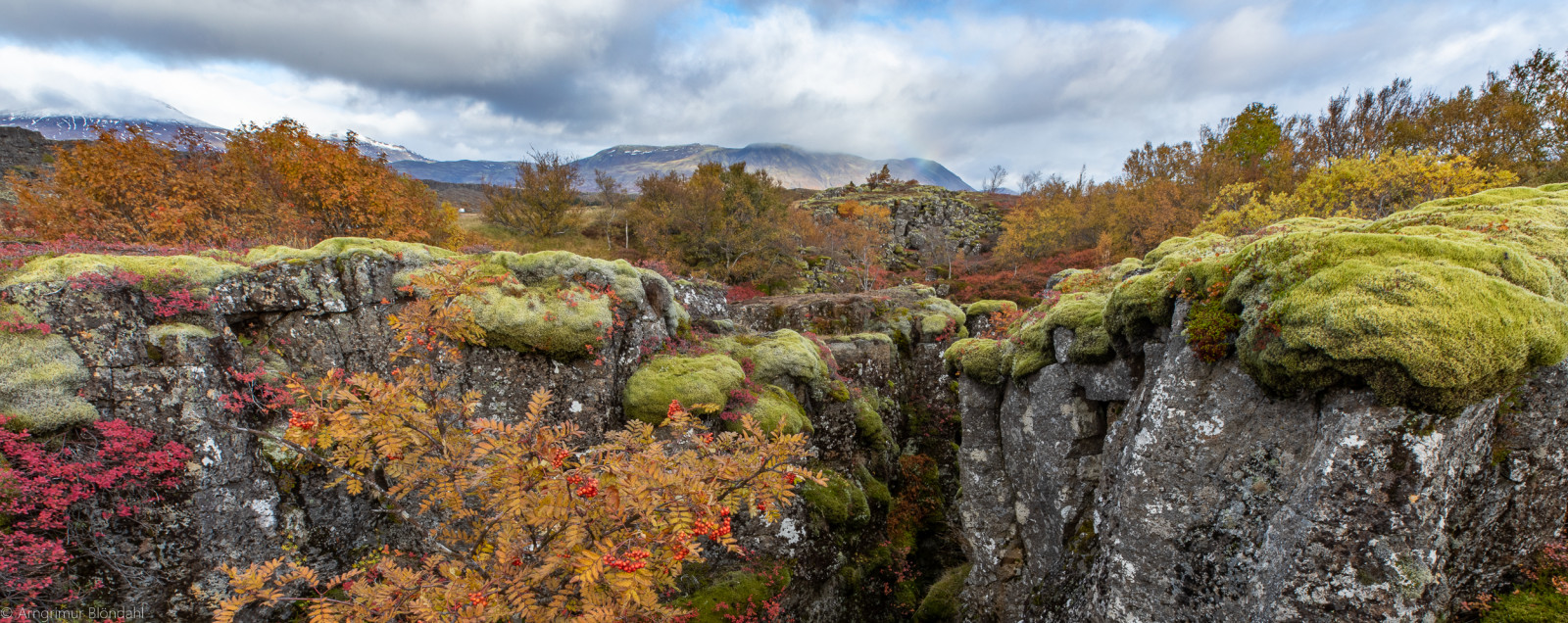 StefIng-75.jpg