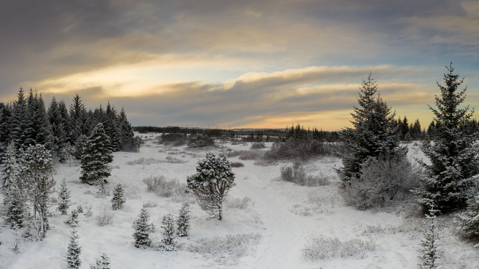 20200209_33695-HDR-Pano-4.jpg